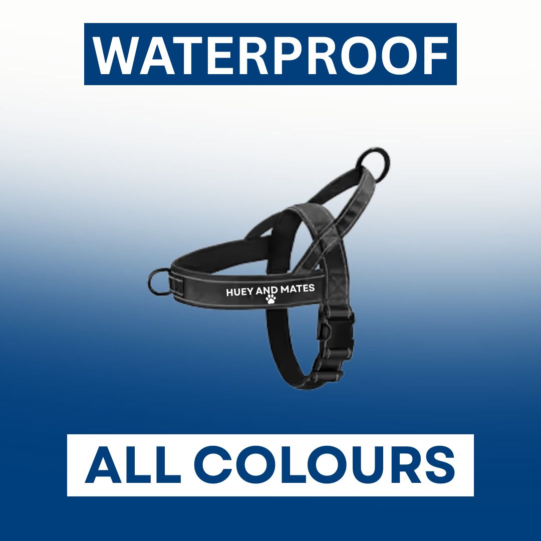 Huey and Mates - Waterproof No Pull Dog Harness