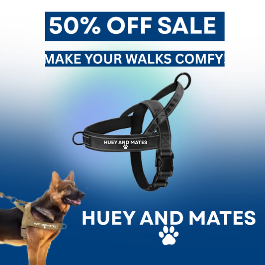 Huey and Mates - Waterproof No Pull Dog Harness