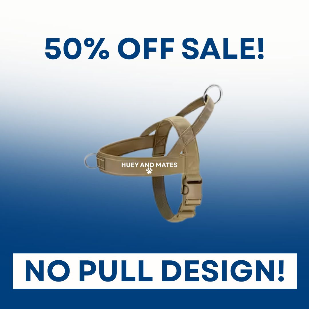 Huey and Mates - Waterproof No Pull Dog Harness