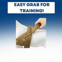 Huey and Mates - Waterproof No Pull Dog Harness