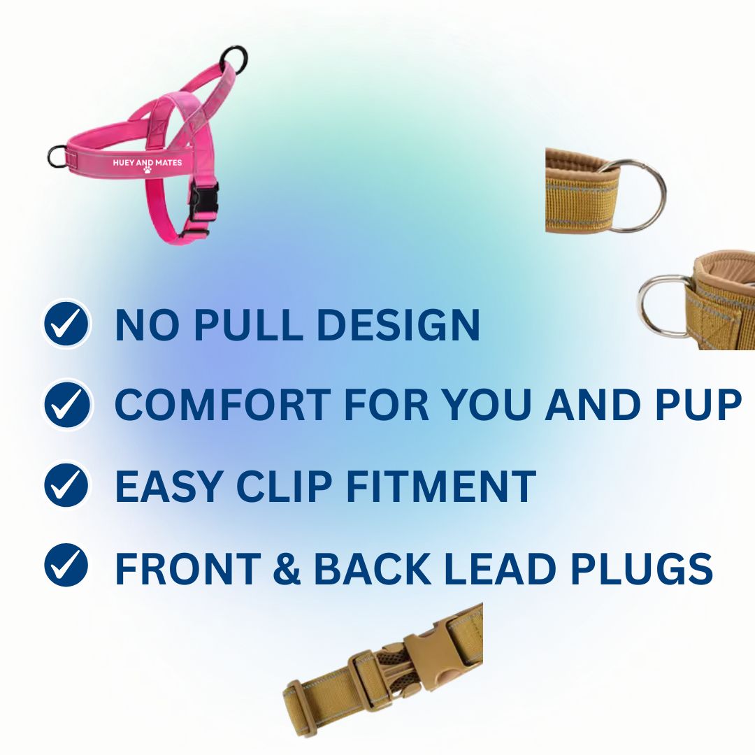 Huey and Mates - Waterproof No Pull Dog Harness