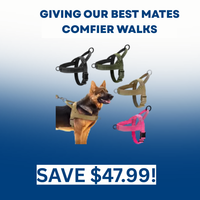 Huey and Mates - Waterproof No Pull Dog Harness
