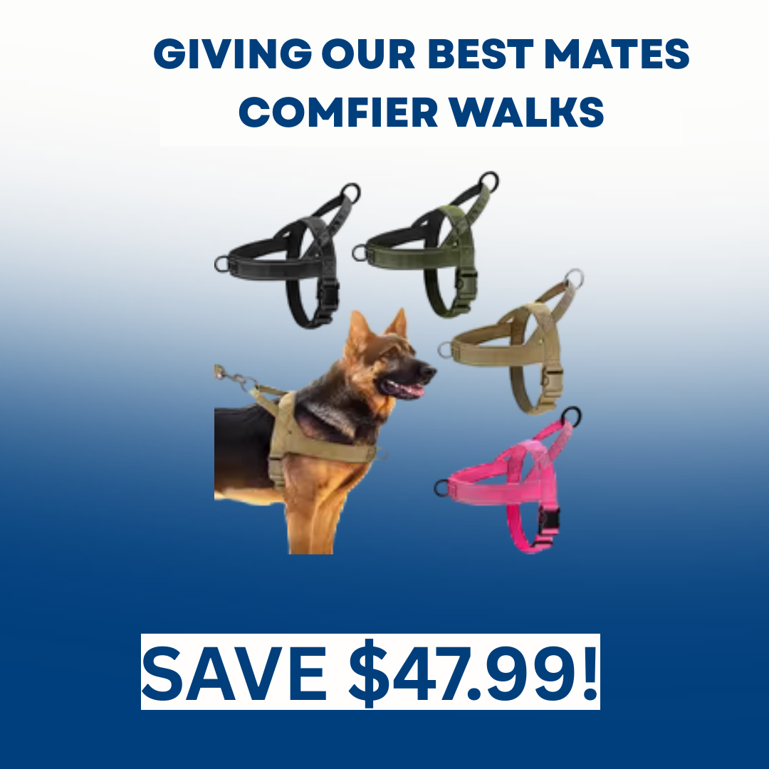 Huey and Mates - Waterproof No Pull Dog Harness